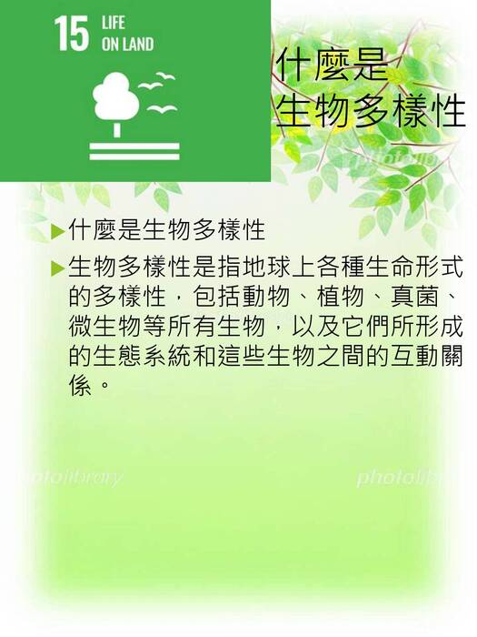 42萬象生態