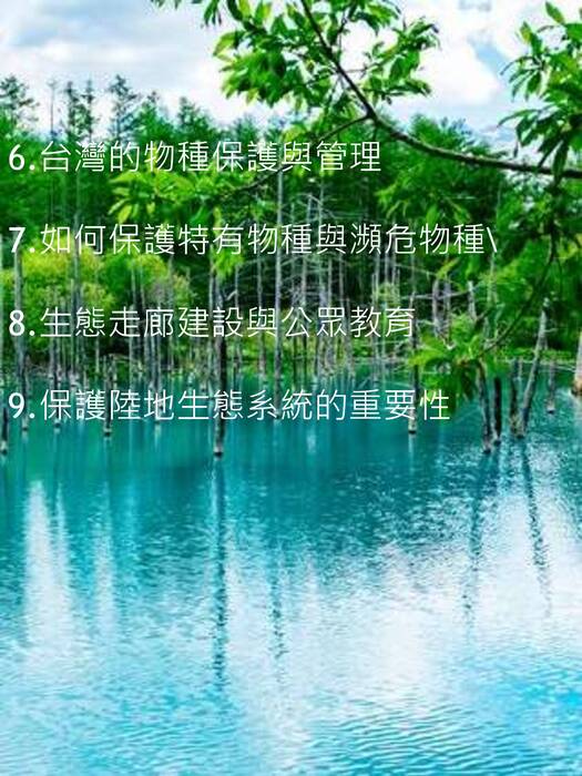 42萬象生態